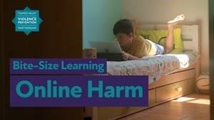 Child Exploitation and Online Harm